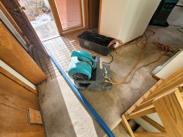 Best Flood restoration services  in Colusa, CA