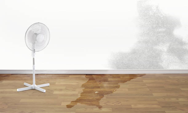 Best Local water damage restoration  in Colusa, CA