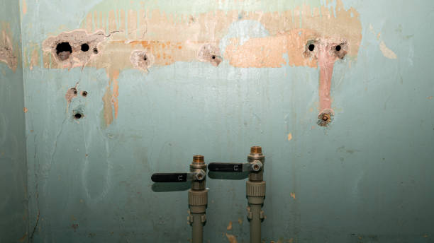 Best Emergency water extraction  in Colusa, CA