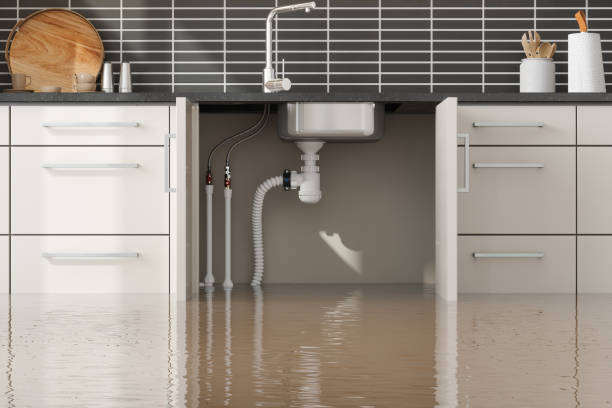 Best Flooded house restoration  in Colusa, CA