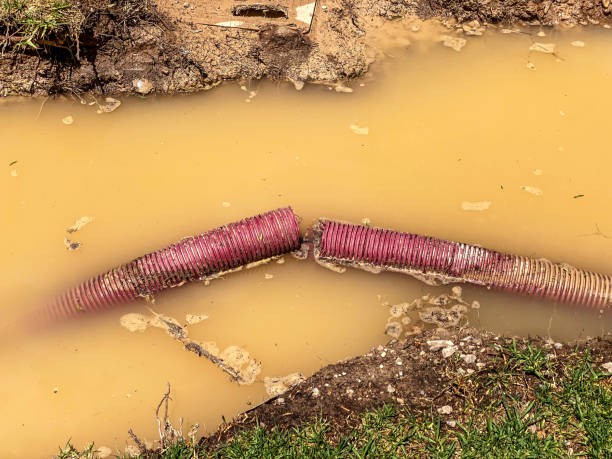 Best 24/7 water damage repair  in Colusa, CA