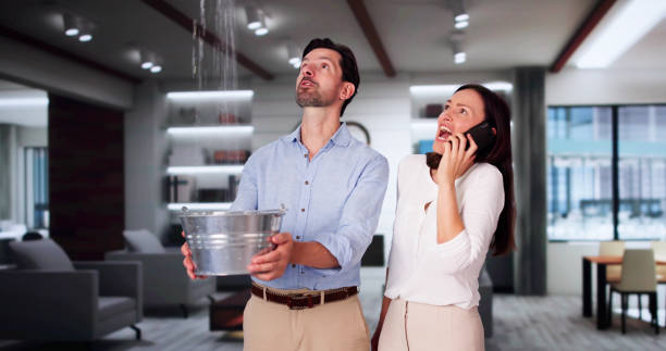 Best Professional water damage repair  in Colusa, CA