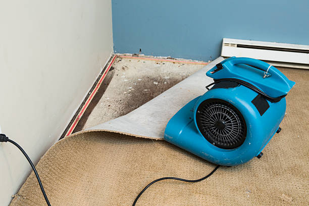 Carpet water damage restoration in Colusa, CA